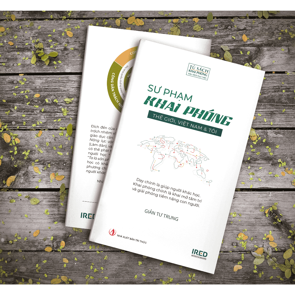 Sách IRED Books - Sư Phạm Khai Phóng - Thế Giới Việt Nam Và Tôi - Giản Tư Trung