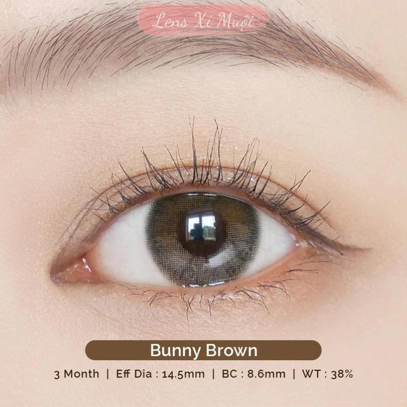 Lens mắt nâu giãn to 619-0 độ