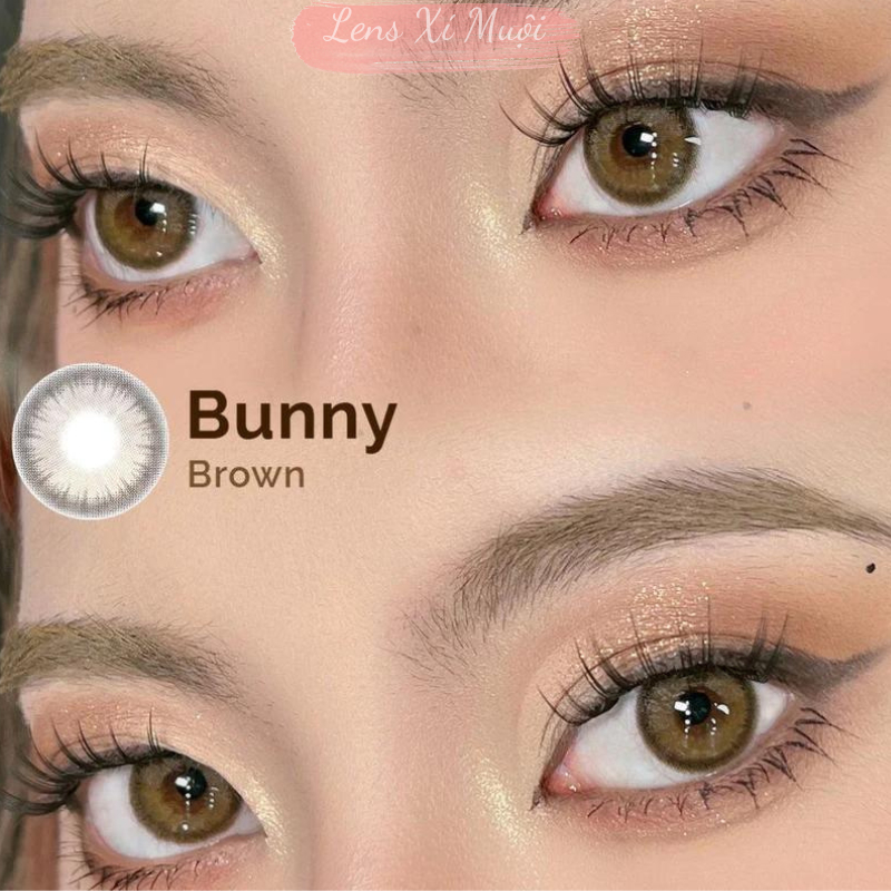 Lens mắt nâu giãn to 619-0 độ