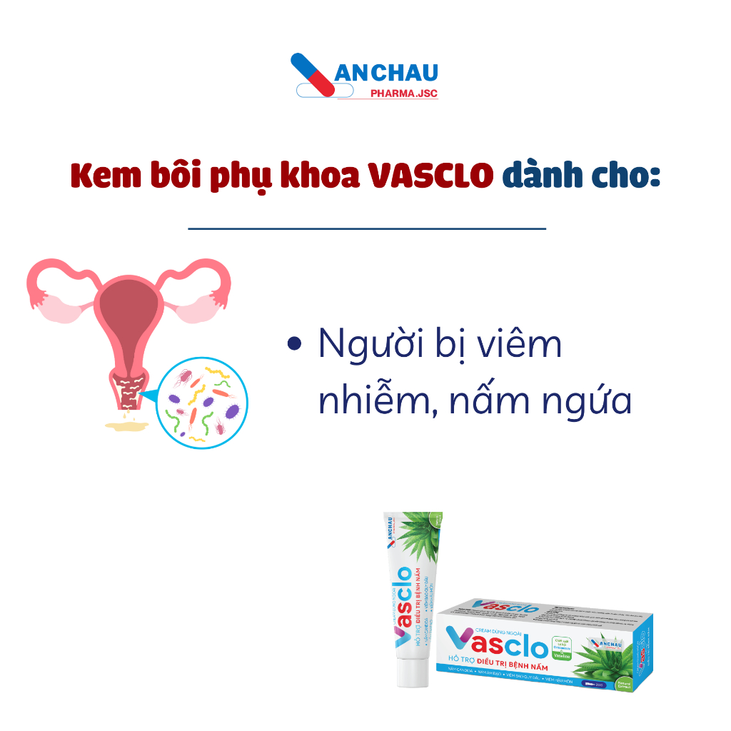 Gel bôi phụ khoa VASCLO giúp giảm nấm ngứa, chăm sóc vùng kín, dưỡng ẩm - An Châu 3