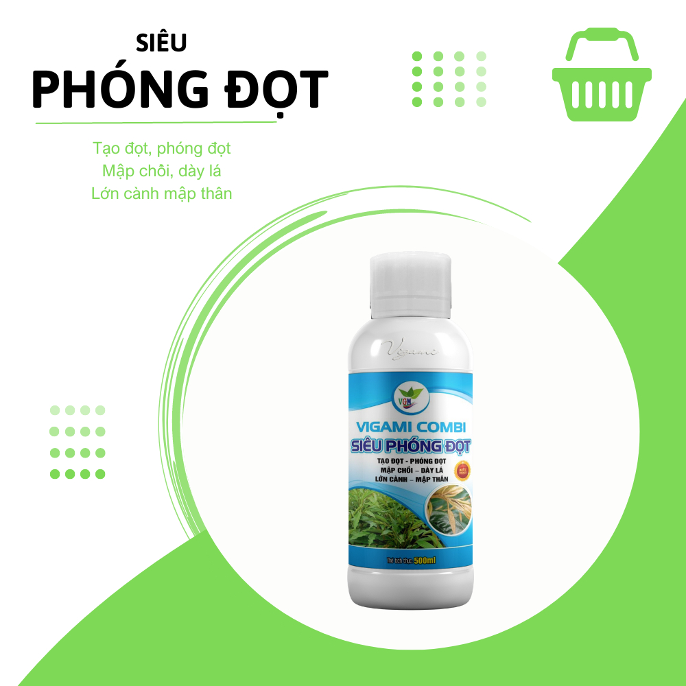 Phân bón Siêu phóng đọt 500ml