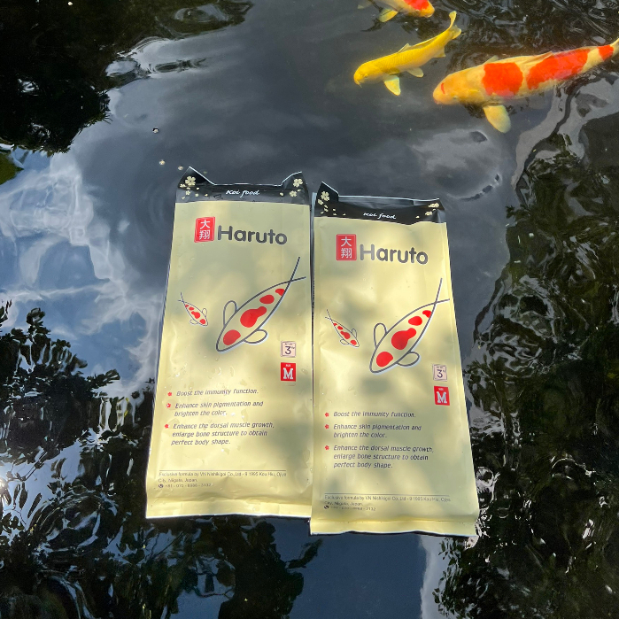 Cám cá Koi Haruto Nhật Bản Daily - Thức ăn dinh dưỡng hàng ngày cho cá Koi