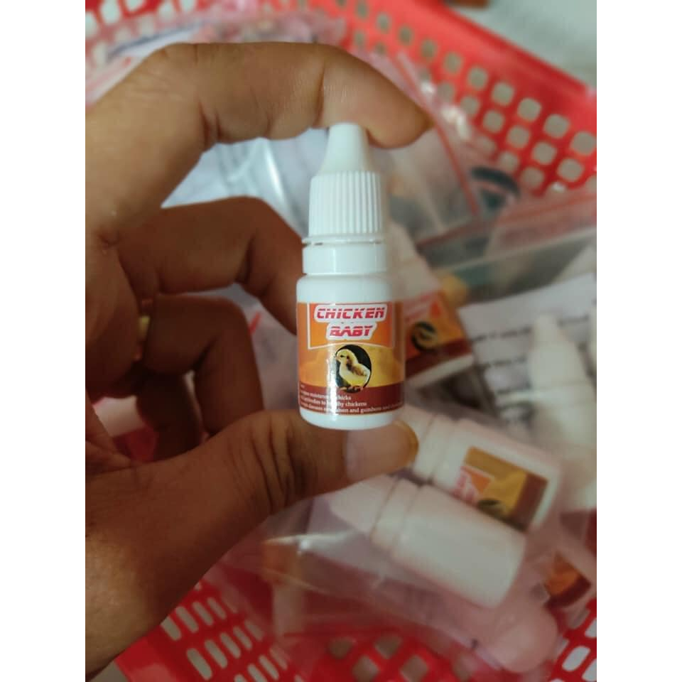 CHICKEN BABY, ÚM GÀ CON SỐ 1