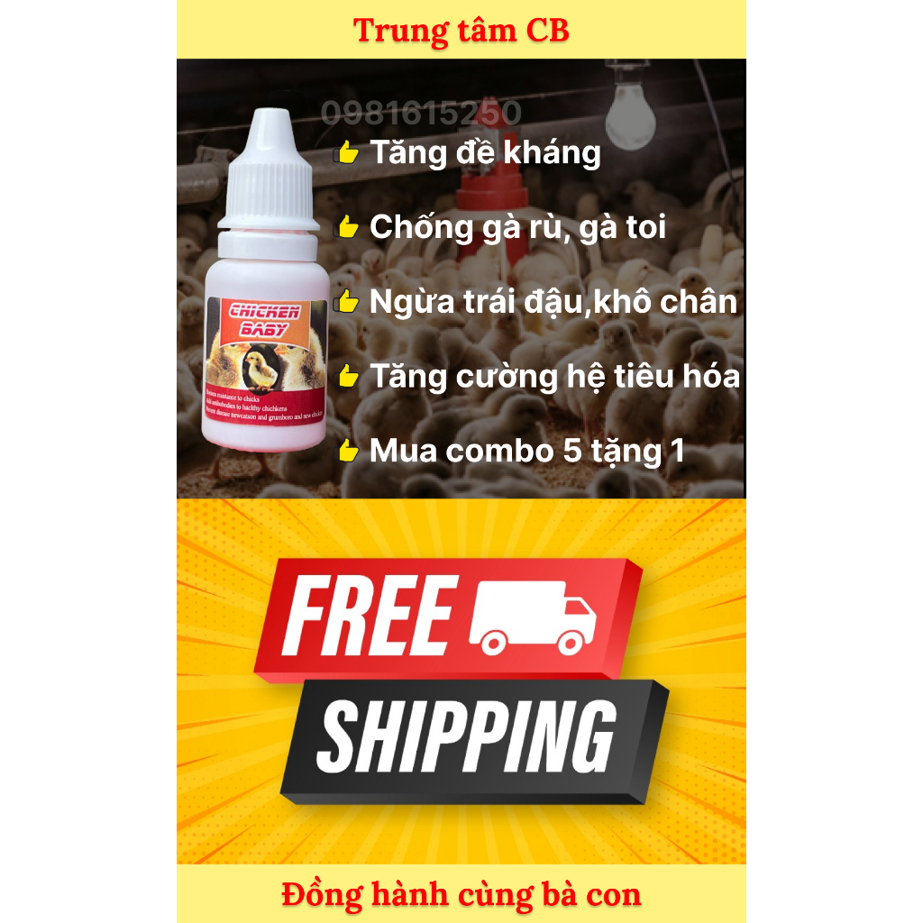 CHICKEN BABY, ÚM GÀ CON SỐ 1