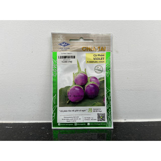Hạt giống cà pháo violet