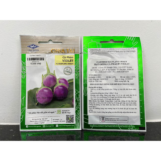Hạt giống cà pháo VIOLET (Thái Lan F1)