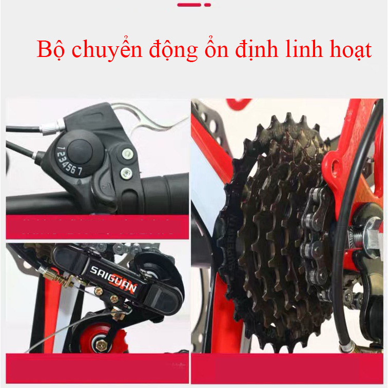 Xe đạp gấp gọn Phoenix 20inch