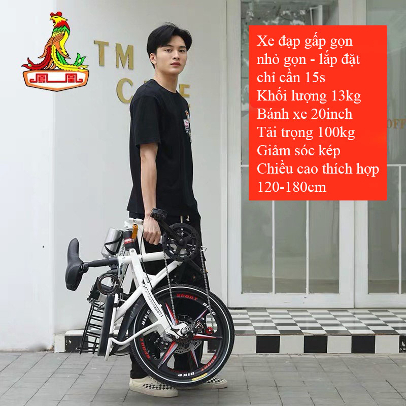 Xe đạp gấp gọn Phoenix 20inch