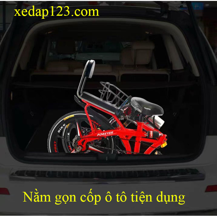 Xe đạp gấp gọn Phoenix 20inch
