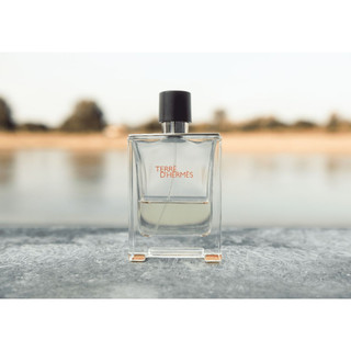 Vỏ nước hoa Terre D'hermes