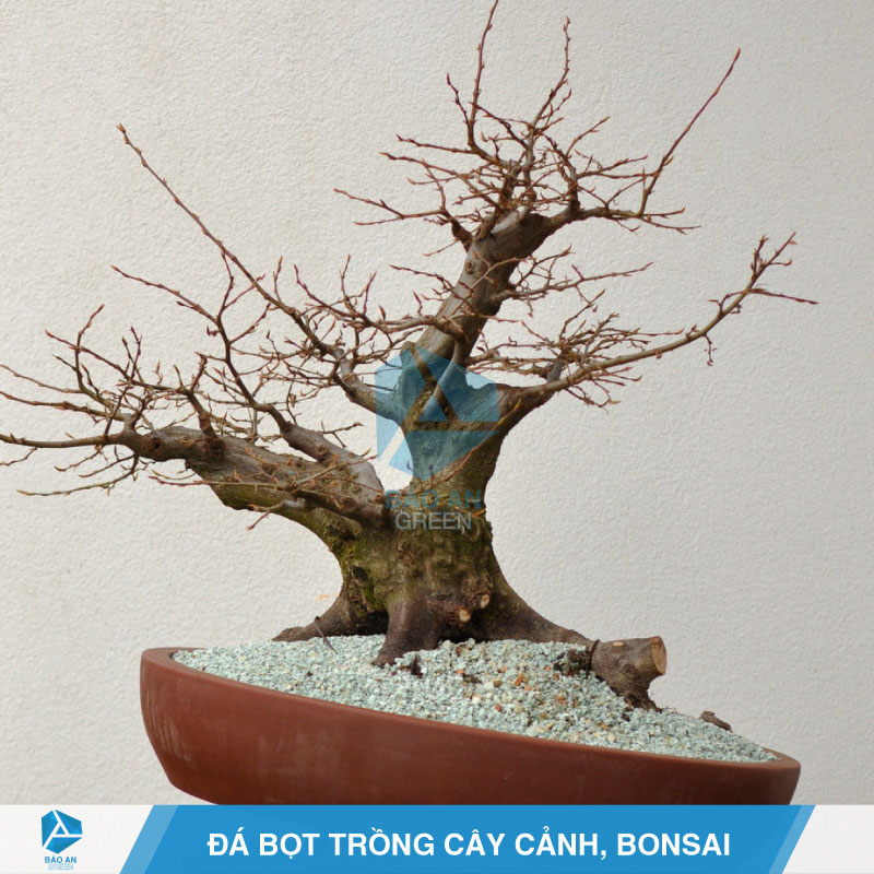 Phân trắng Nhật Bản Magampk 6-40-6-15 kích thích ra rễ, khỏe cây, xanh lá