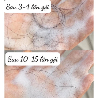 (Mã NSF020280 giảm 80K) CẶP GỘI XẢ GỪNG WEILAIYA