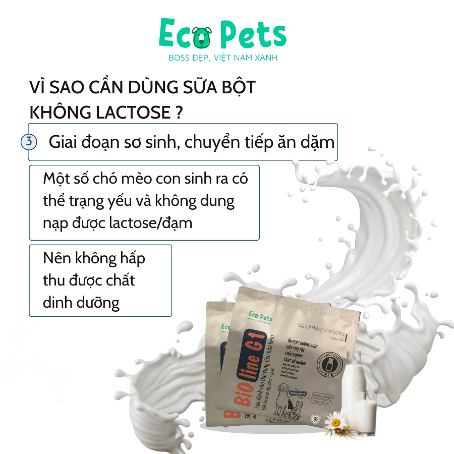 Sữa BIOLINE G1 ECOPETS không chứa Lactose bổ sung dinh dưỡng cho mèo dành cho chó mèo tiêu hoá kém - 100gr