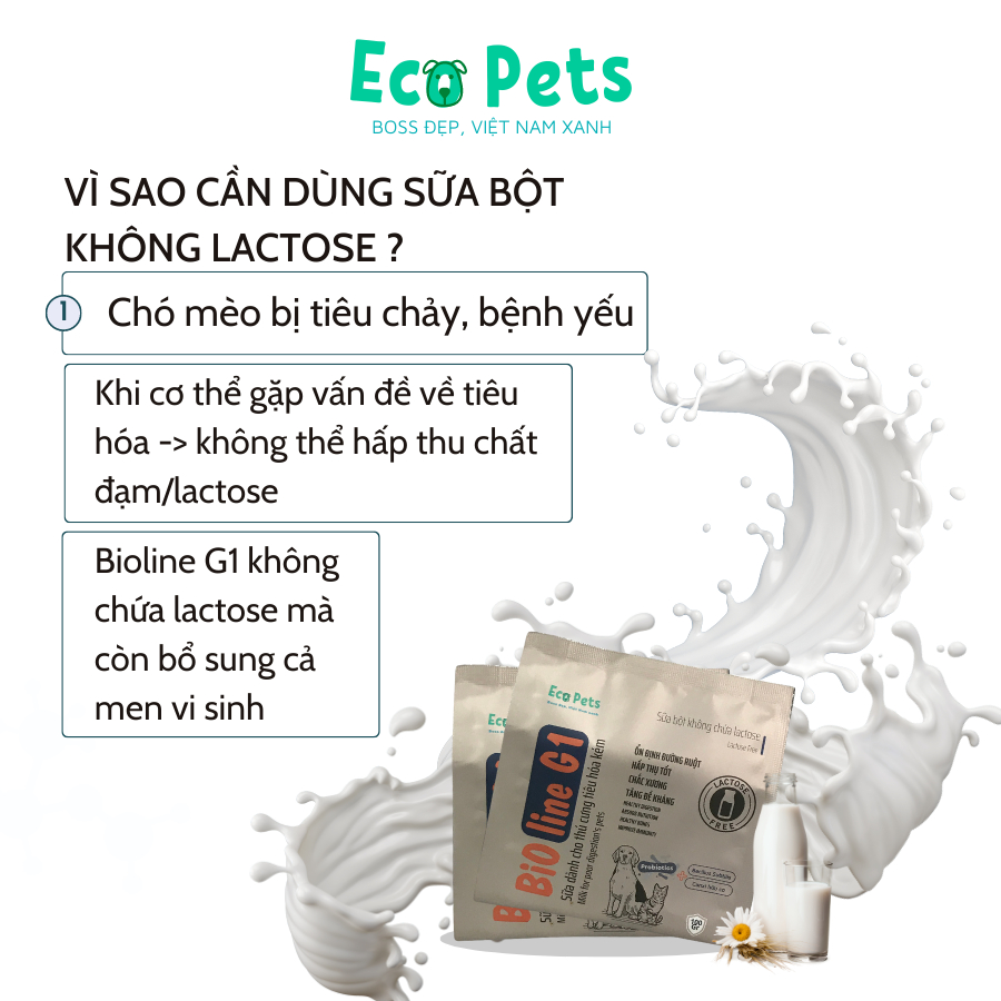 Sữa BIOLINE G1 ECOPETS không chứa Lactose bổ sung dinh dưỡng cho mèo dành cho chó mèo tiêu hoá kém - 100gr