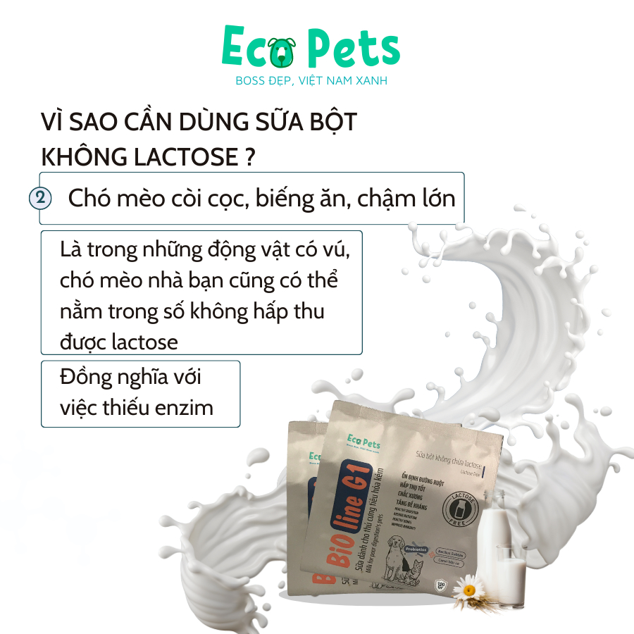 Sữa BIOLINE G1 ECOPETS không chứa Lactose bổ sung dinh dưỡng cho mèo dành cho chó mèo tiêu hoá kém - 100gr