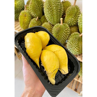 CƠM SẦU RIÊNG THÁI XK TƯƠI NGON KHUI MỚI MỖI NGÀY