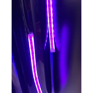 Đèn led audi khiển đổi màu chạy ( giá 2 dây )