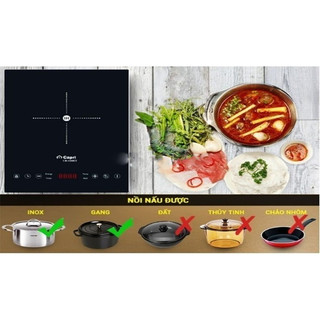 Bếp điện từ Capri CR-108KT