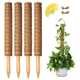 Trụ hoa xơ dừa 50cm