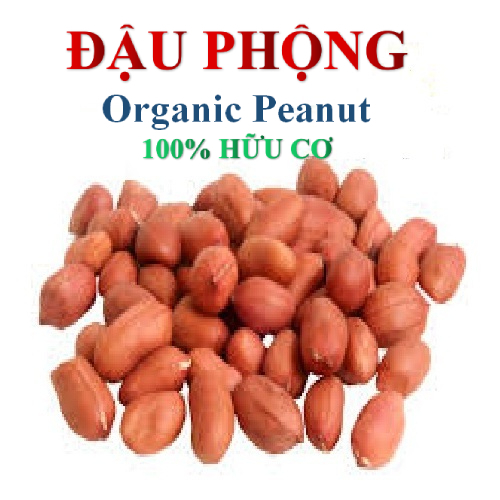 ĐẬU PHỘNG (Lạc sống) hữu cơ An Phương 1kg