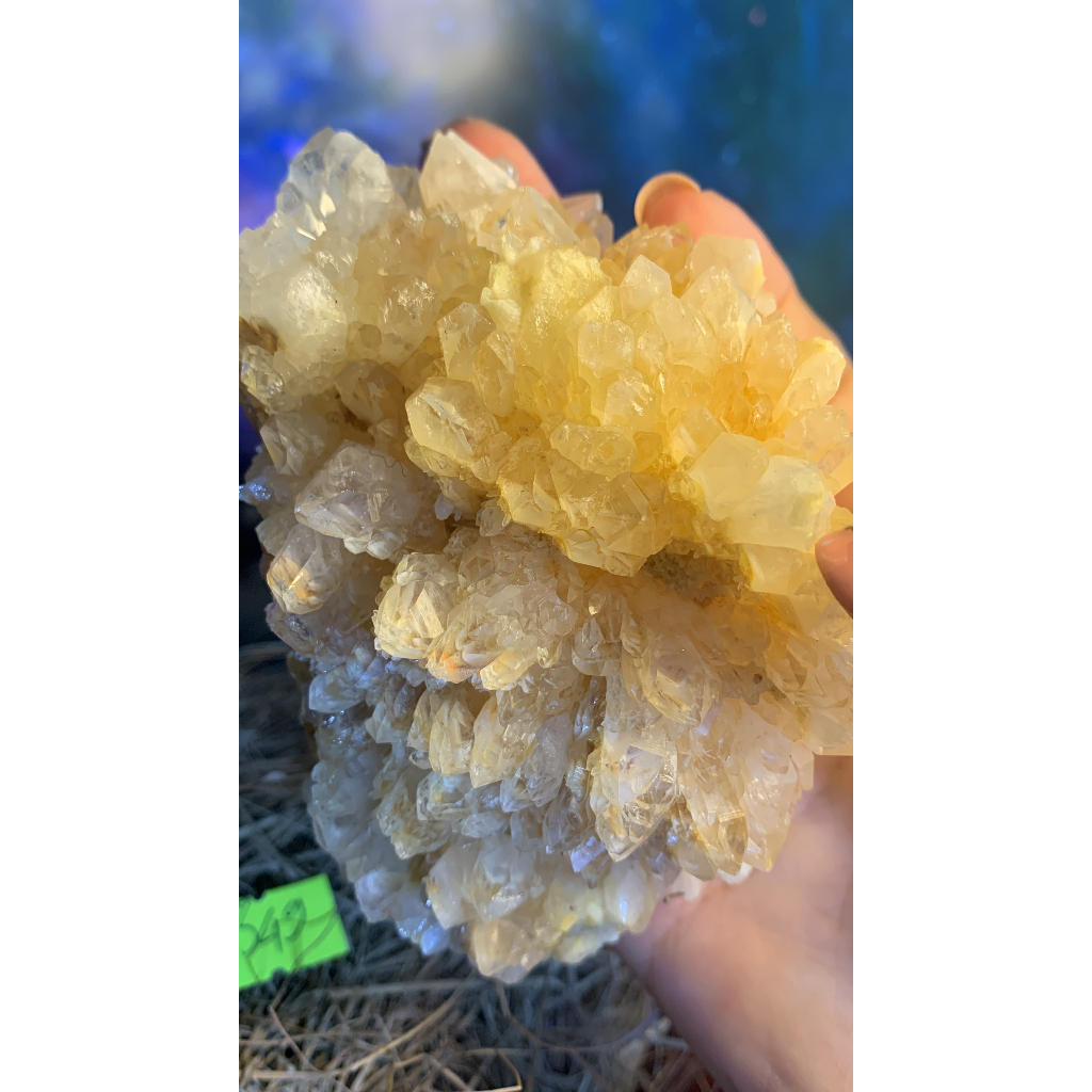 Stone tự nhiên Thạch Anh bông hoa vàng vàng tự nhiên tán sắc lắp lánh tài lộc mã 349