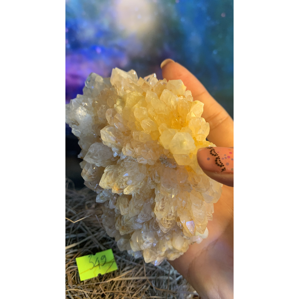 Stone tự nhiên Thạch Anh bông hoa vàng vàng tự nhiên tán sắc lắp lánh tài lộc mã 349