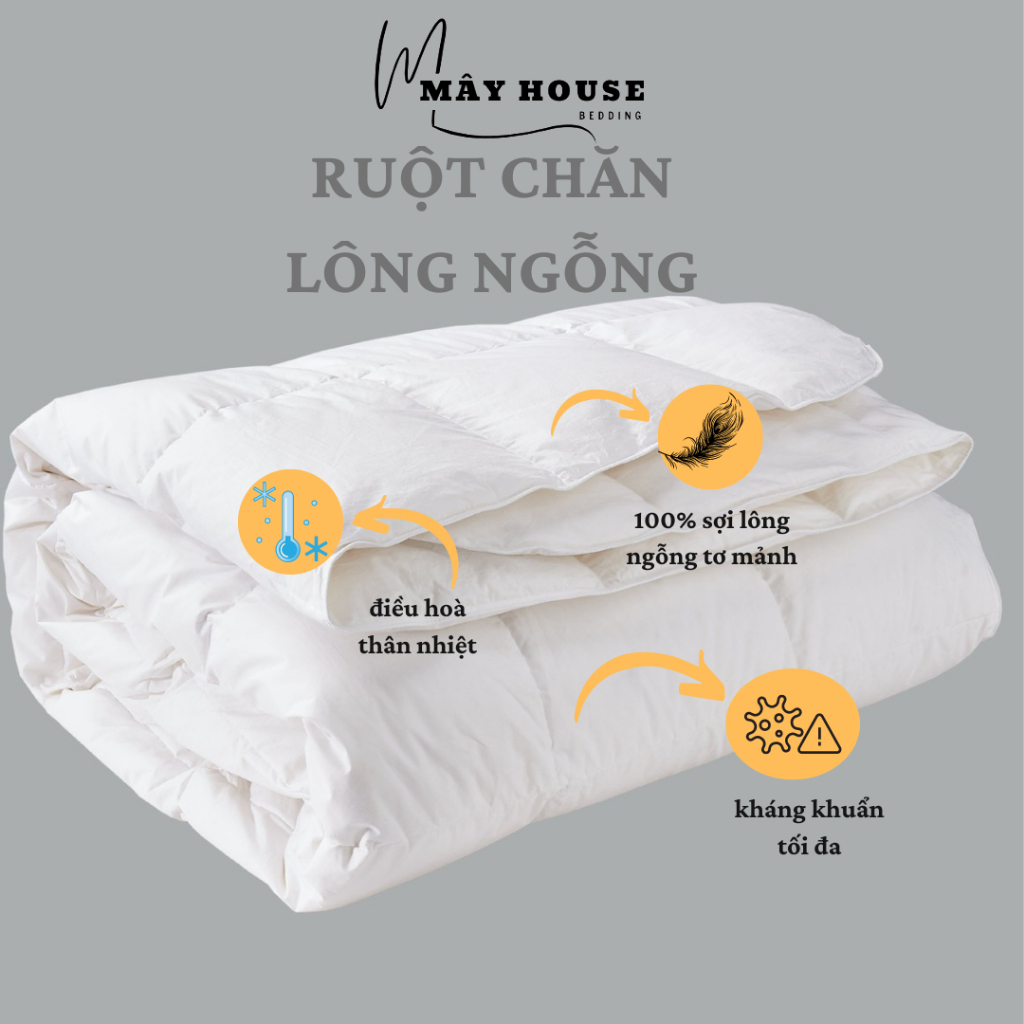 Ruột chăn lông ngỗng 100%