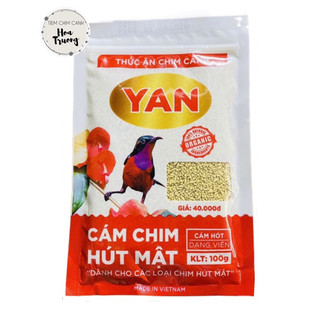 Cám hút mật yan - cám hót