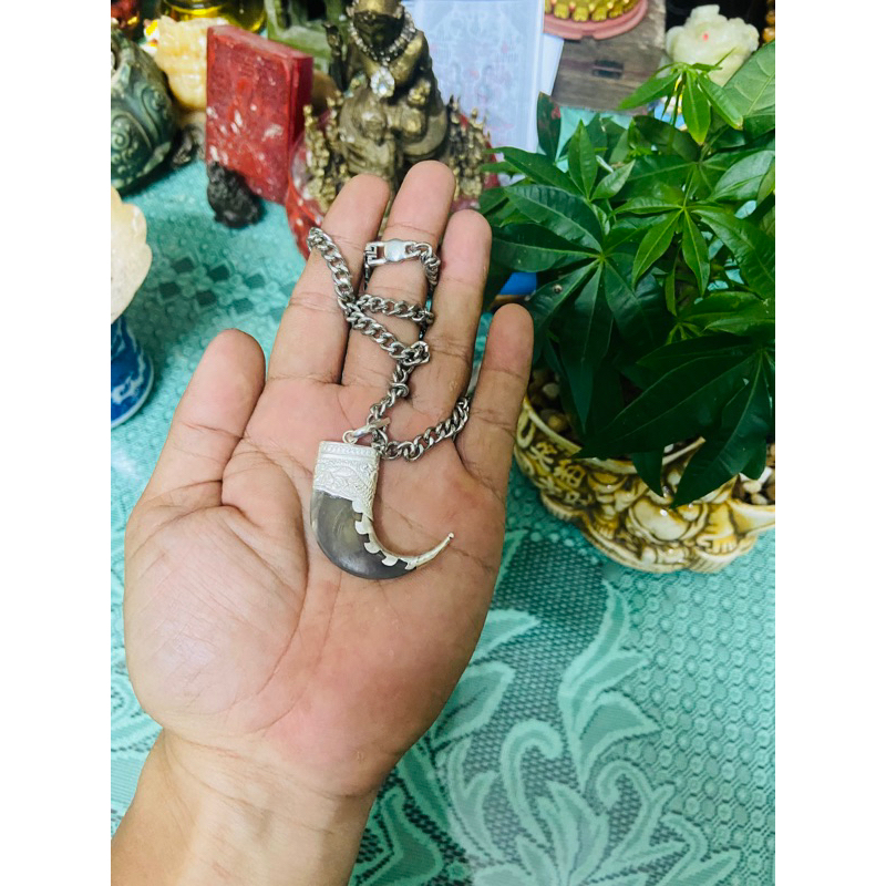 Vuốt gâu