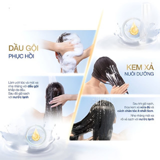 Combo 30 gói Dầu gội dầu xả Dove, Clear, Sunsilk, Pantene ,Head…