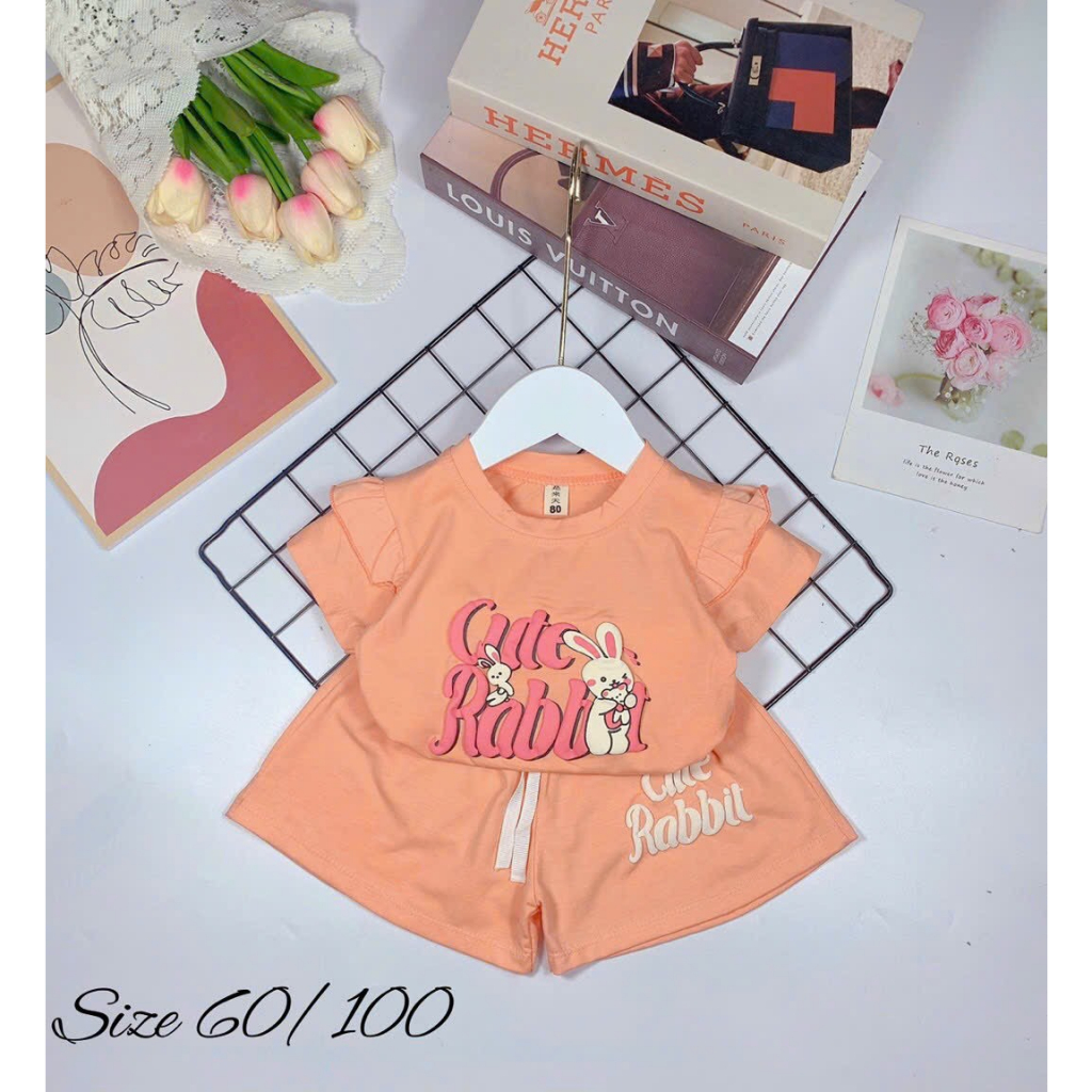 Bộ Cộc Tay Bé Gái In Hình Thỏ Đáng Yêu Nhiều Màu 8-16kg BG1