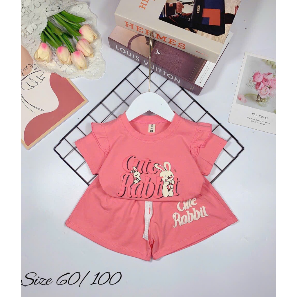 Bộ Cộc Tay Bé Gái In Hình Thỏ Đáng Yêu Nhiều Màu 8-16kg BG1