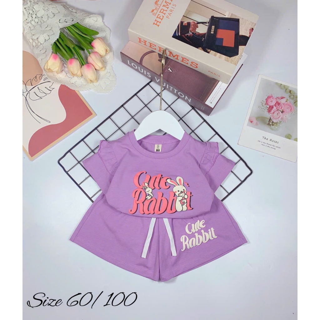 Bộ Cộc Tay Bé Gái In Hình Thỏ Đáng Yêu Nhiều Màu 8-16kg BG1