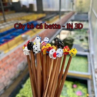 Cây Kè Cá Betta | Cây Kè In Hình 3D Nhiều Màu Sắc ( Vui lòng xem kỹ hình ảnh trước khi mua )