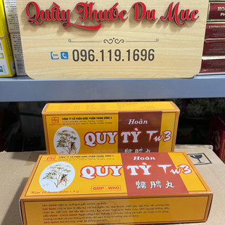 Hoàn quy tỳ TW3 - Bồi bổ khí huyết hộp 10 viên hoàn