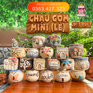 Chậu gốm trồng sen đá, xương rồng mini