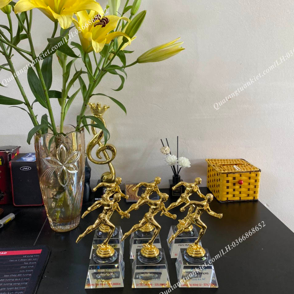 Cúp Pha Lê Giải Chạy Mạ Vàng