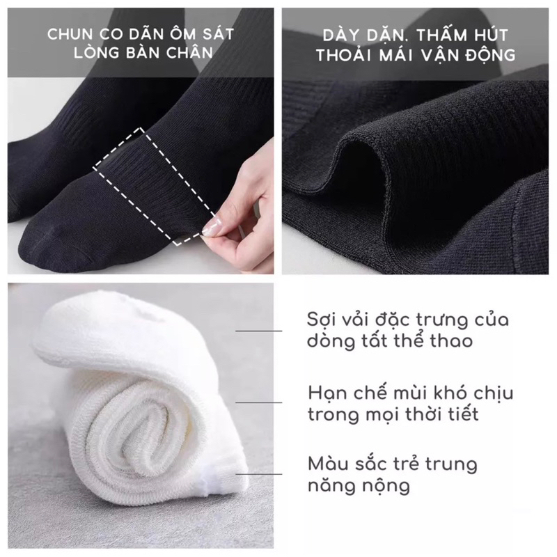 Tất trơn cao cổ 2 màu đen trắng bassic chất cotton thoáng mát