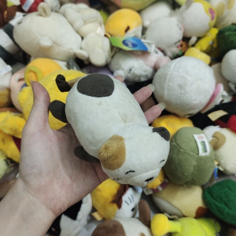 Mèo mập tam thể