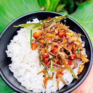 Cá cơm rim lạc 👍Giòn thơm ăn cơm nhậu đều ngon