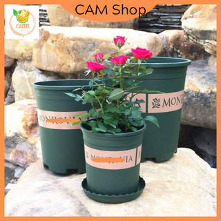 Chậu nhựa trồng cây Monro trồng hoa cây cảnh hoa hồng cây văn phòng đủ kích thước 2gal