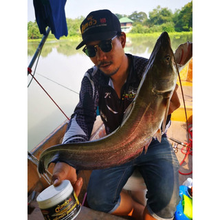 mồi cá lăng thailand- cá da trơn