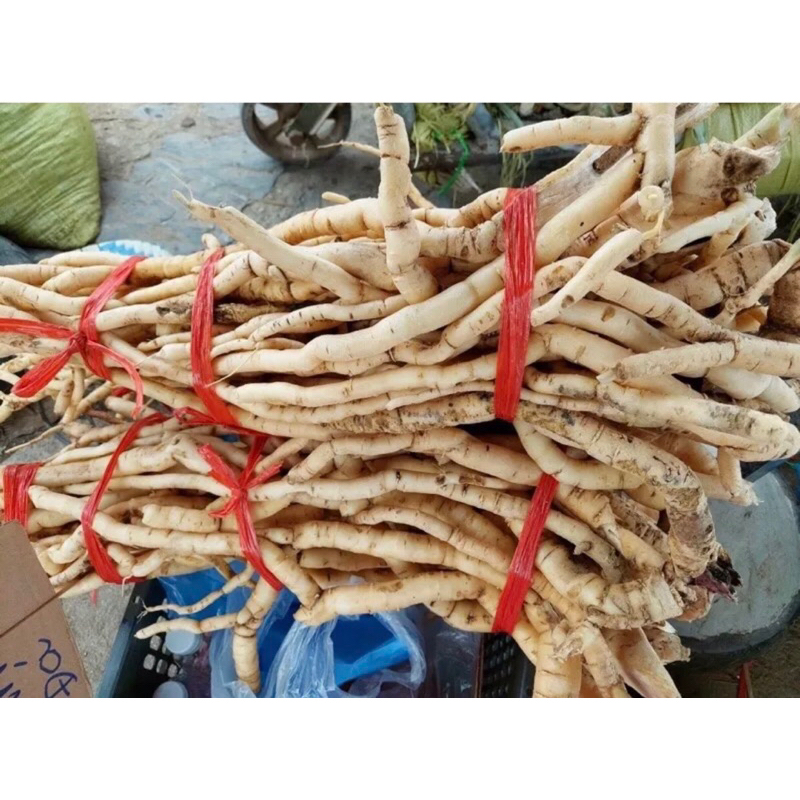 XÂM ĐÁ RỪNG TÂY BẮC