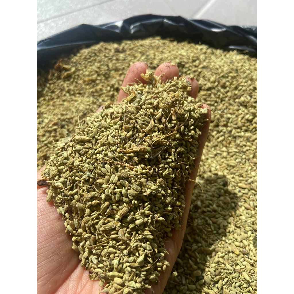 1kg trà nụ hoa hòe khô sao vàng, hạ thổ, làm bền mạch máu