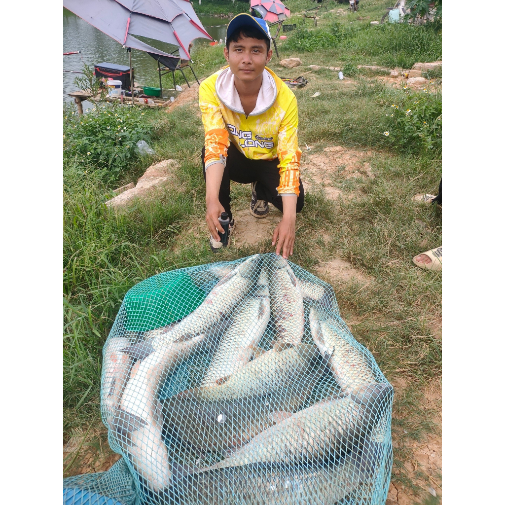 Điếu Ngư - Hương Liệu Ủ Ngô Câu Cá