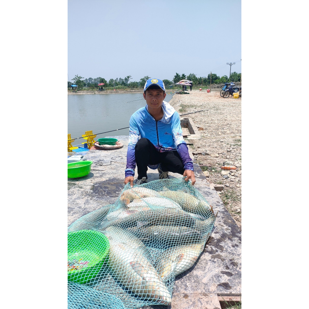 Điếu Ngư - Hương Liệu Ủ Ngô Câu Cá