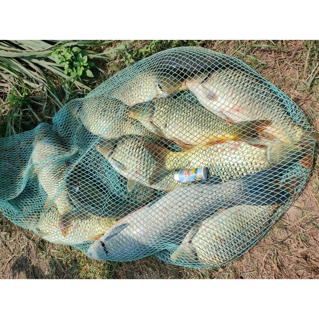 Điếu Ngư - Hương Liệu Ủ Ngô Câu Cá