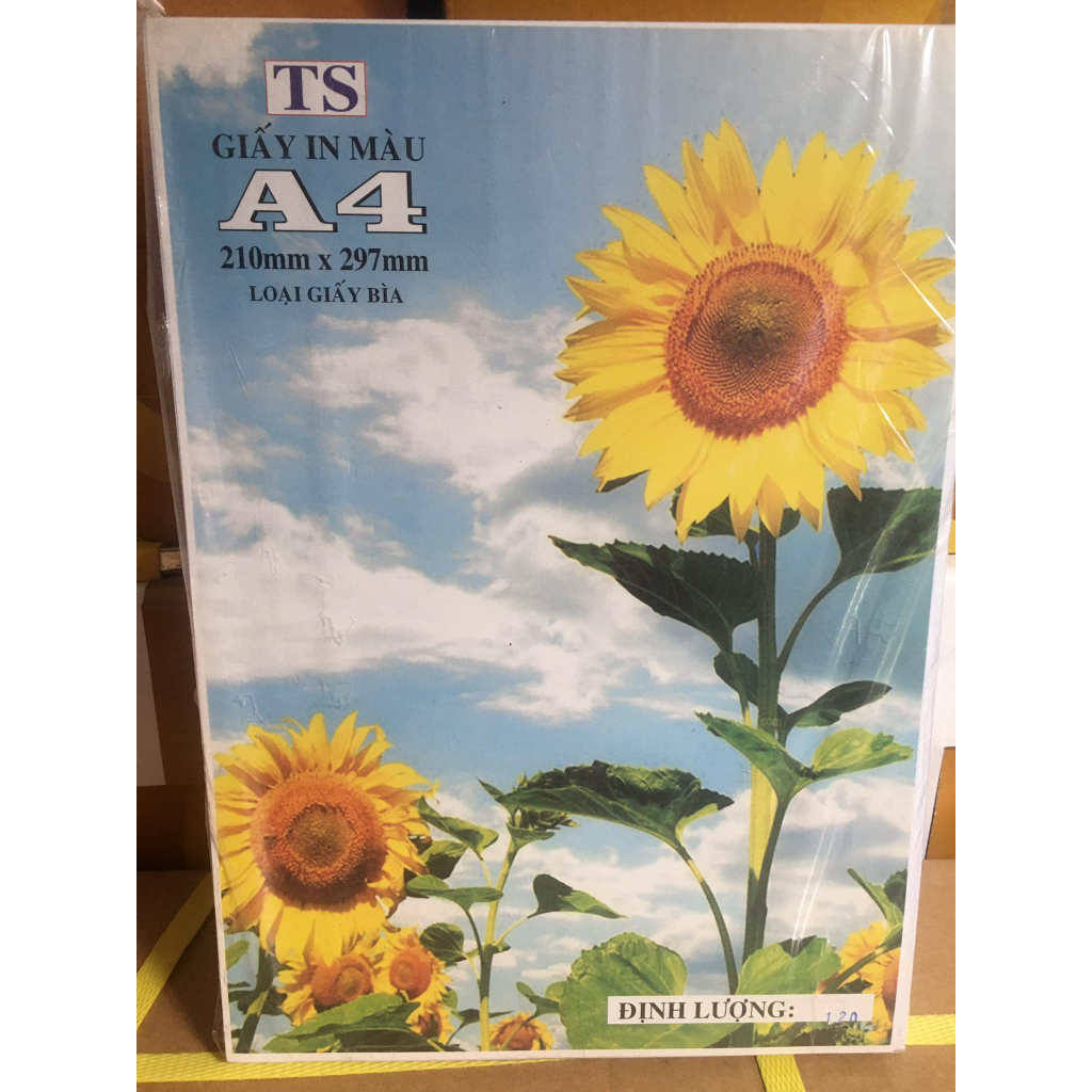 Giấy Ford A4 định lượng 120gsm