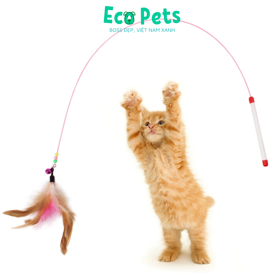 Đồ chơi cho mèo ECOPETS cần câu mèo bằng dây thép dẻo đồ chơi có chuông cho mèo giải trí màu sắc đáng yêu