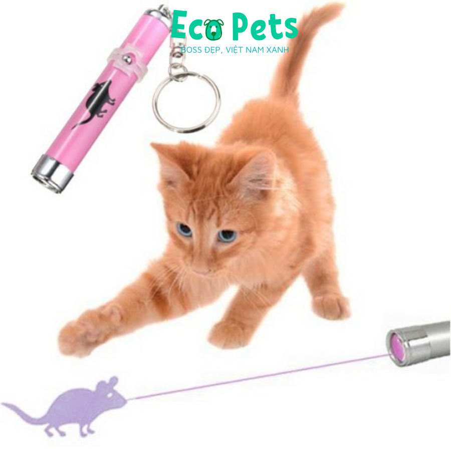 Đồ chơi cho mèo ECOPETS cần câu mèo bằng dây thép dẻo đồ chơi có chuông cho mèo giải trí màu sắc đáng yêu